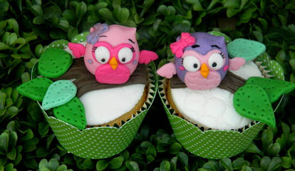 Cupcakes - owls