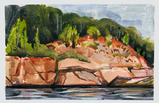 Landscape study 