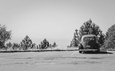 Slugbug at Fremont Peak