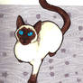 Siamese