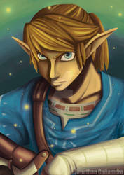 Link, The Hero of Time