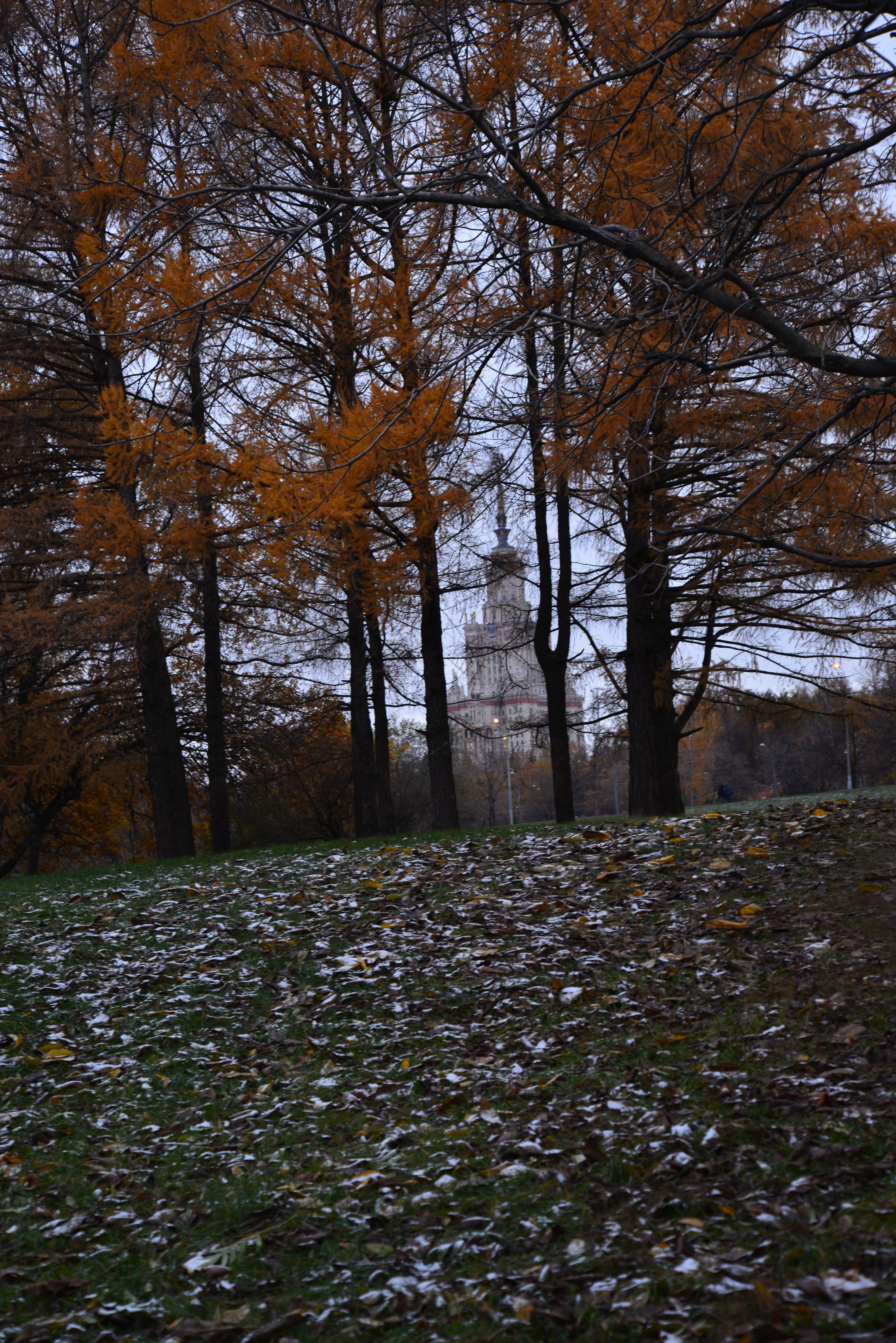 Moscow State University