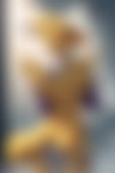 Renamon 342