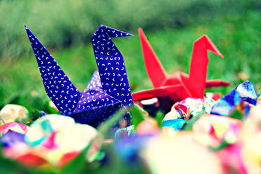 Bird Origami