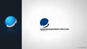 Paradigm Management Consulting