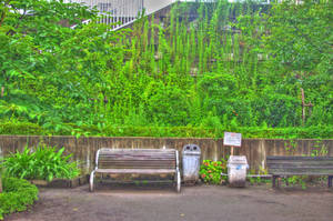 Chair In A Park