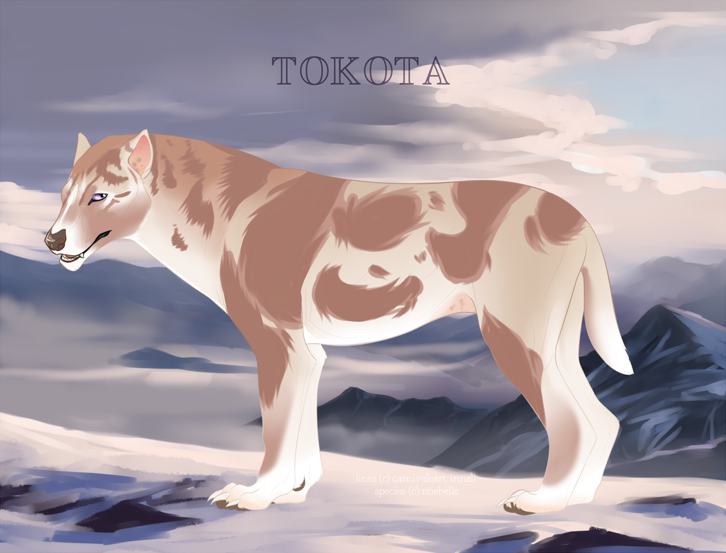 Tokota Base Color Tokota Base Coat Variations: Tundra and Tawny (1) by Therionthropy on ...