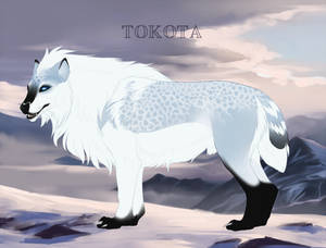 Sabu 4500 - DECEASED by TotemSpirit Sabu 4500 - DECEASED by TotemSpirit