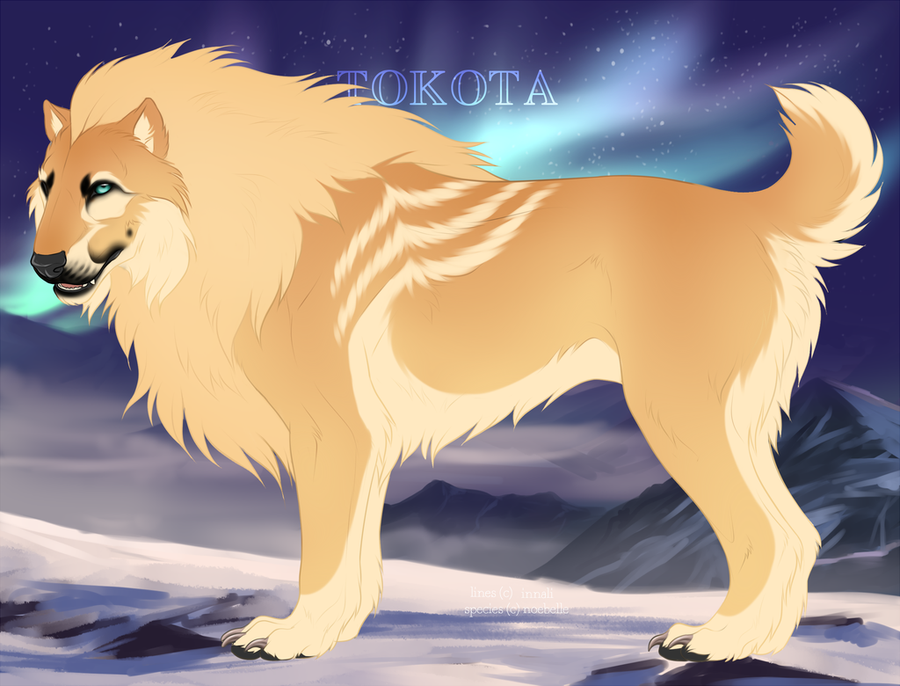 Tokota Base Color Tokota Base Coat Variations: Tundra and Tawny (1) by Therionthropy on ...