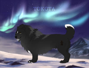 Boon 11072 by TotemSpirit Boon 11072 by TotemSpirit