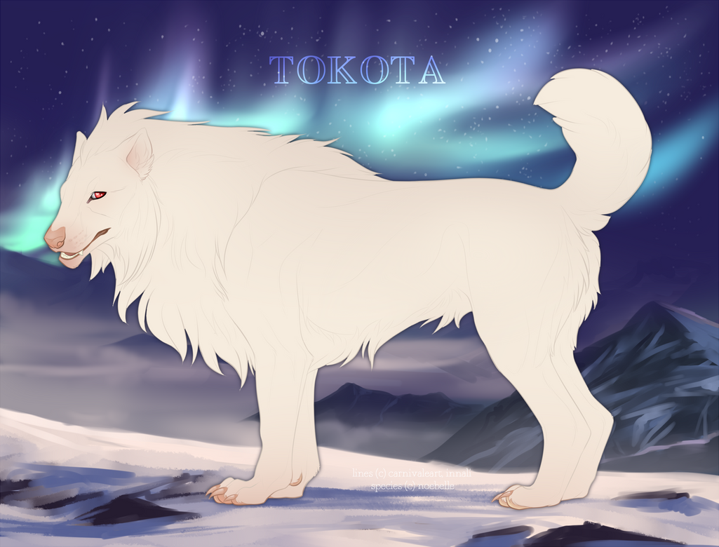 Tokota волки