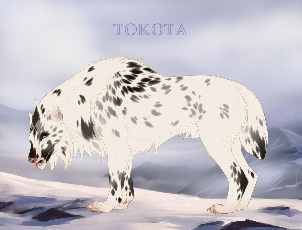 Kenneth Dnd Kenneth 13103 by TotemSpirit on DeviantArt