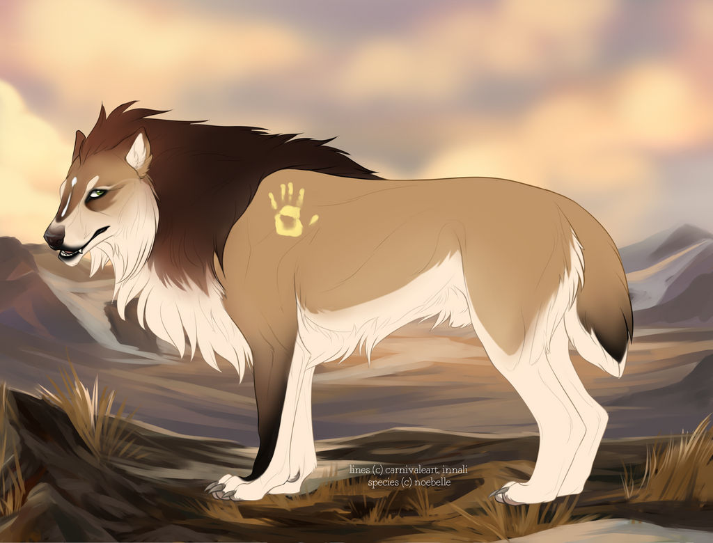 Dakota Rabbit Deviantart Dakota 14633 by TotemSpirit on DeviantArt