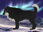 Nanook 01 by TotemSpirit