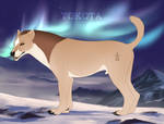 Amarok 07 by TotemSpirit