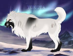 Oona 20 by TotemSpirit