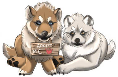 Adoption Center Puppies by TotemSpirit
