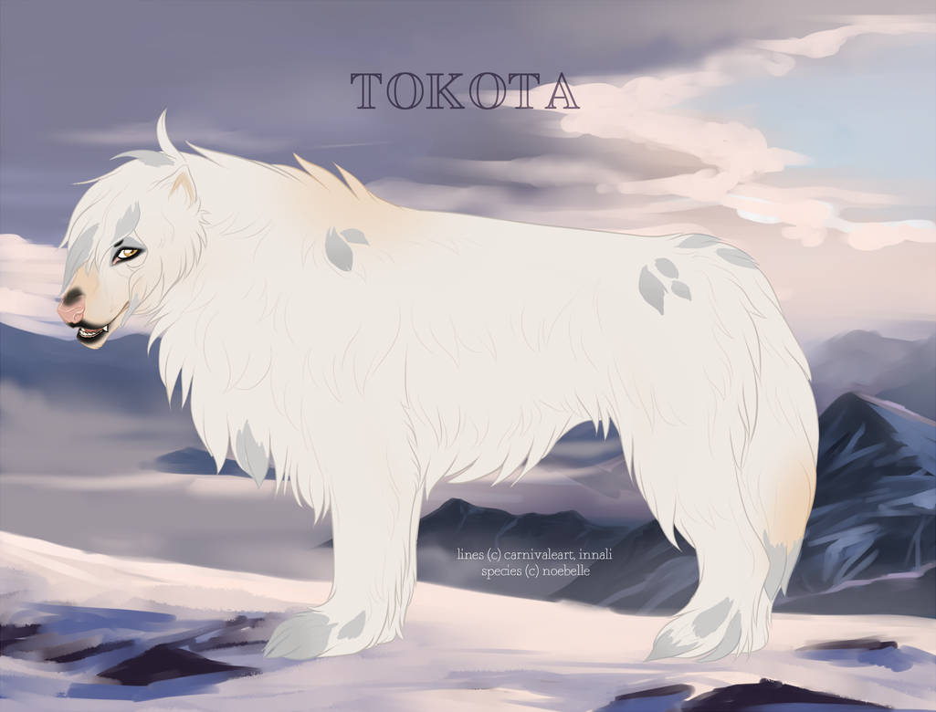 Tokota волки