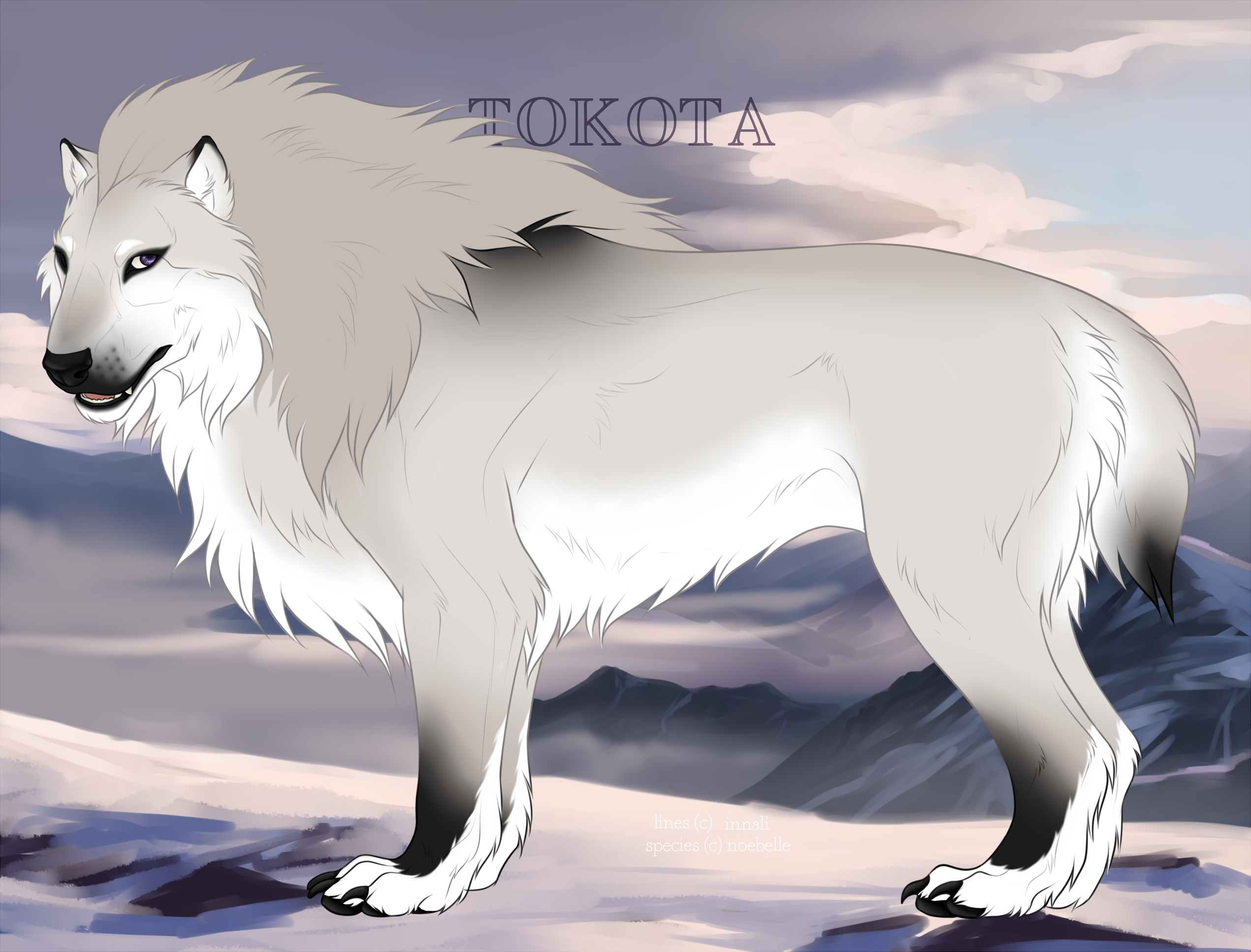 Dust Bunny 21258 by TotemSpirit