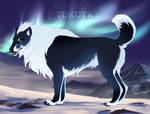 Sheila 21682 by TotemSpirit