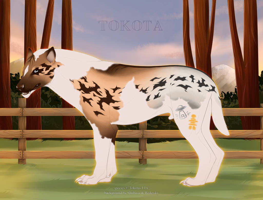 Design Guide: Shadowmarks by DesignDen on DeviantArt