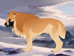 Mellivora 22965 by TotemSpirit
