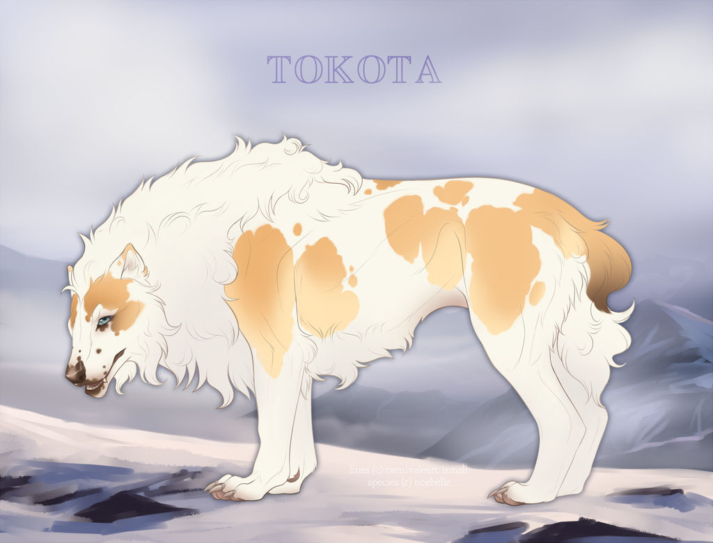 Tokota Base Color Tokota Base Coat Variations: Tundra and Tawny (1) by Therionthropy on ...