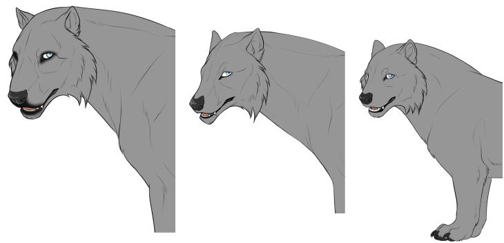 Cheek Fluff Examples by TotemSpirit on DeviantArt