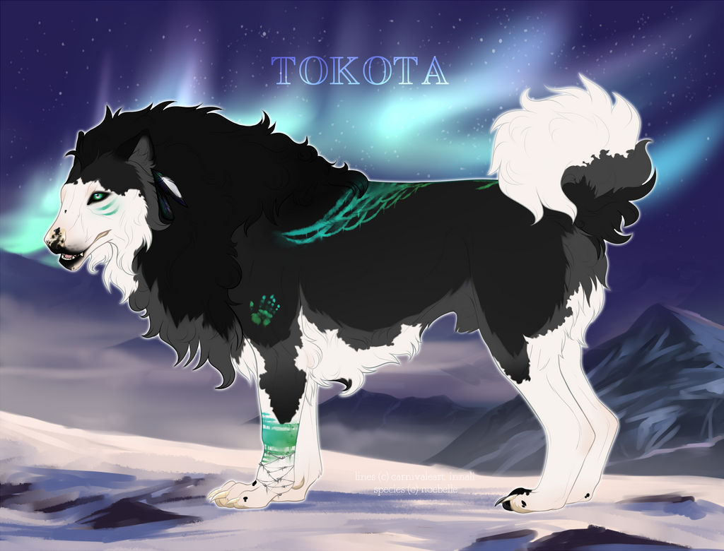Magpie 23828 by TotemSpirit Magpie 23828 by TotemSpirit