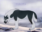Tokota 24079 by TotemSpirit
