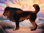 Comet Tail 25096 by TotemSpirit