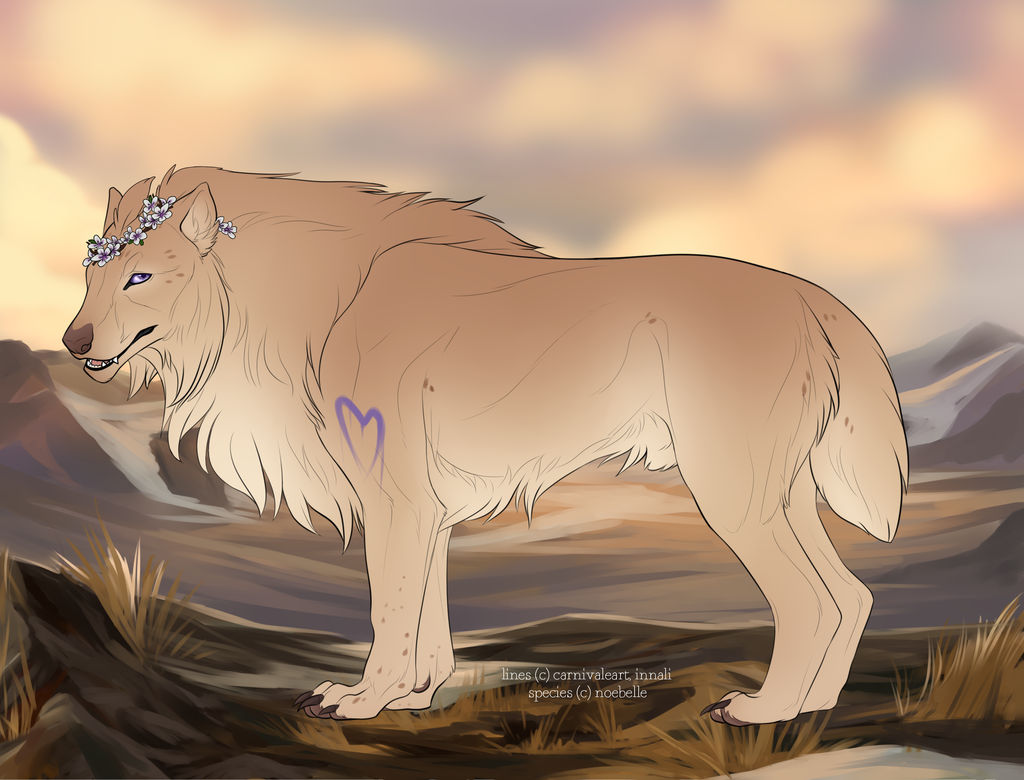 Tokota Of The Month By Tokotime On Deviantart Design Central Tokotas November 2022