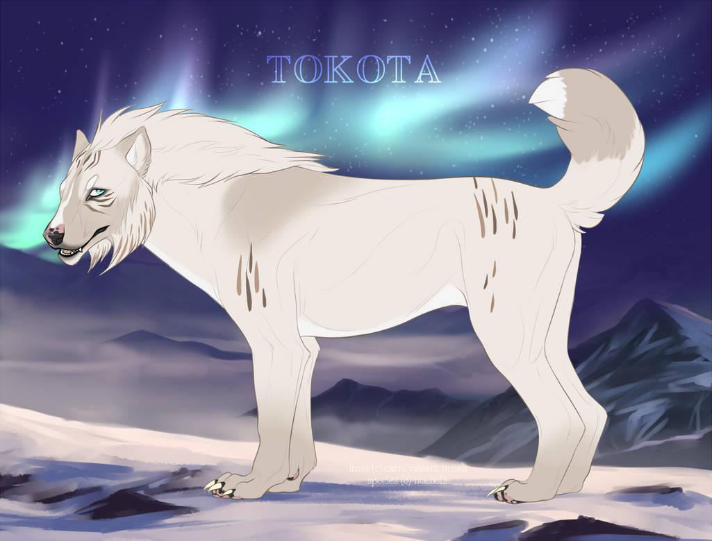 Keeonah 28444 by TotemSpirit Keeonah 28444 by TotemSpirit