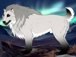 Oli 29140 by TotemSpirit