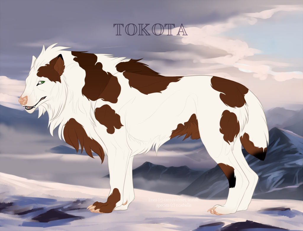 Tonraq Deviantart Sesi Tonraq 29320 by TotemSpirit on DeviantArt