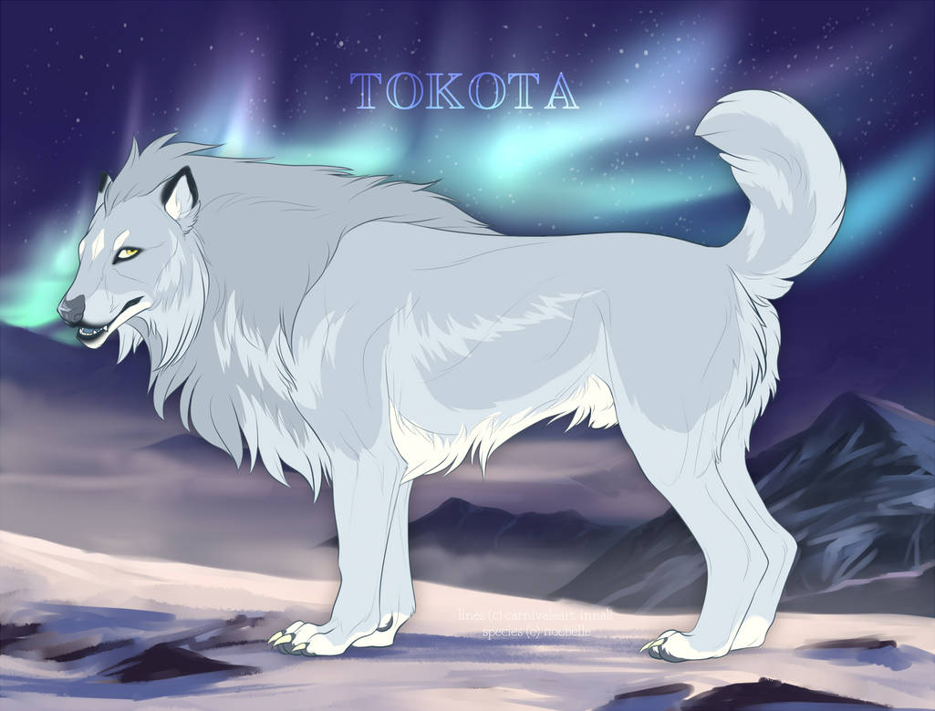 Akiaktekkeit 30095 by TotemSpirit Akiaktekkeit 30095 by TotemSpirit