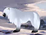Tarni 30225 by TotemSpirit