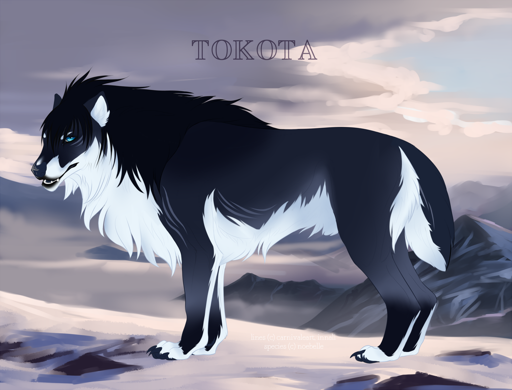 Noctis 30525 by TotemSpirit