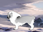 Henkapahtan Usvapilvi 31223 by TotemSpirit