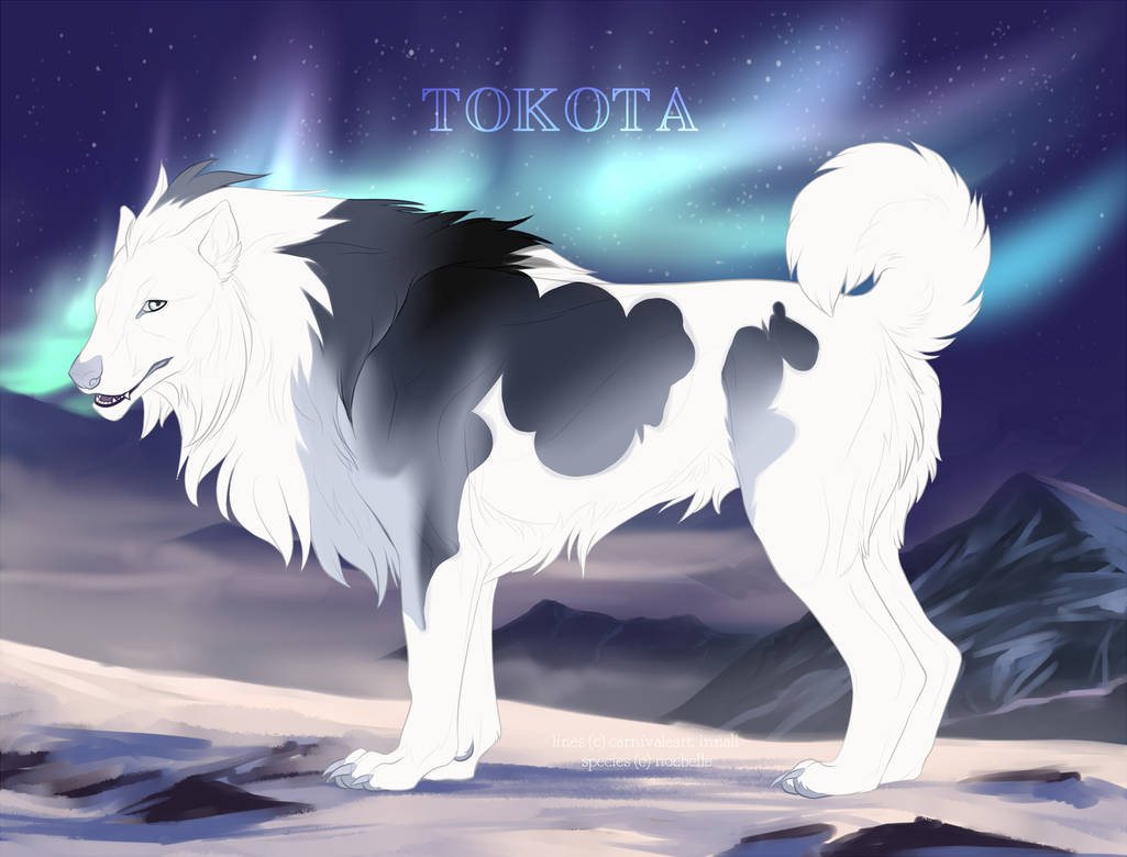 Illoria's Andraste 32557 by TotemSpirit Illoria's Andraste 32557 by TotemSpirit