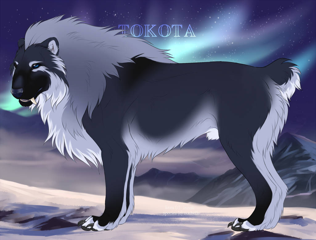 Grayson 33810 by TotemSpirit on DeviantArt