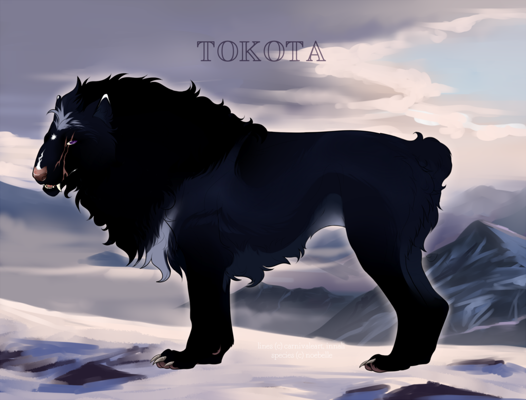 Anku 34059 by TotemSpirit on DeviantArt
