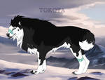 Caspian 34748 by TotemSpirit