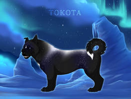 ID 41442 by TotemSpirit