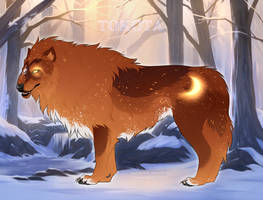 ID 46071