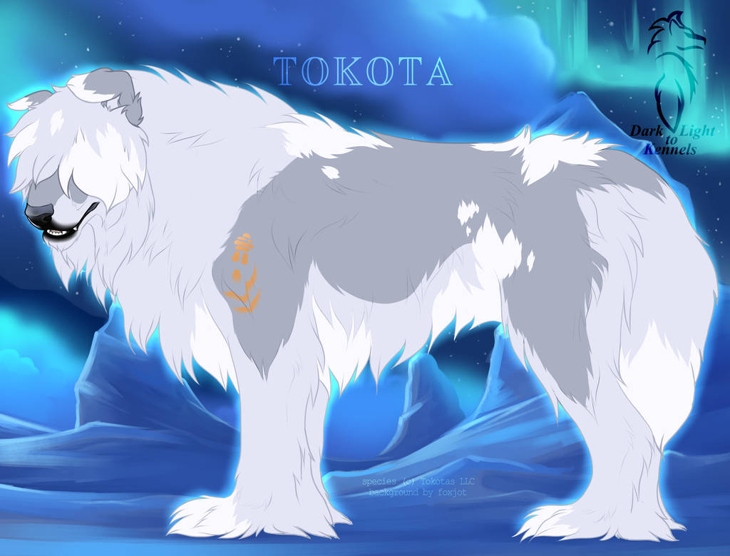 Ragdoll 47060 Tracker by KirasDarkLight on DeviantArt