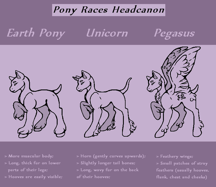 Pony races by NajpotenQPegazis on DeviantArt