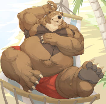 Summer Hammock Bear