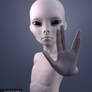 Grey Alien