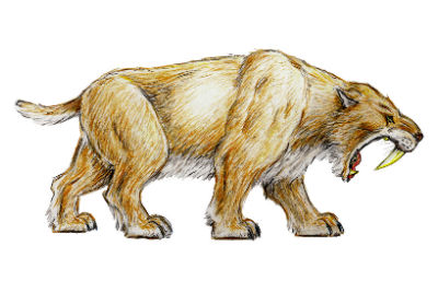 Smilodon